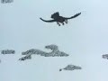 Animacion - Saltando ( Jumping )