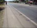 videos de That Phanom - Snake on a Raod