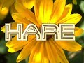 maha mantra