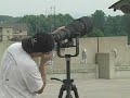 peregrine-falcon-wooping-a-squirrels-ass.html