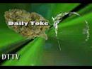 Daily Toke on KILLER CANNABIS?