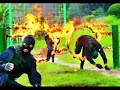 chinese special armed police force spc 