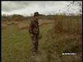 Deer Attack