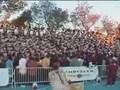 BCC 2004