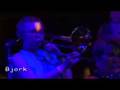 Bjork - Coachella Festival 2007 (Hunter)