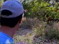 The Lost Citrus Groves of Rancor, a Fletzel Production