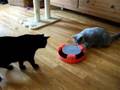 Pip en Joepie