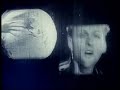 Wild Swans - Young Manhood