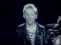 Wild Swans - Young Manhood