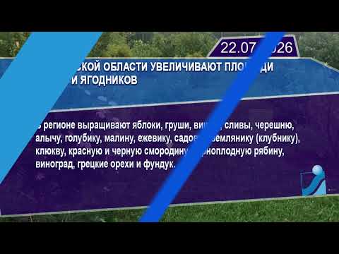 Новостная лента Телеканала Интекс 22.07.26.
