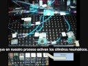 Granola: Proyecto de Automatizacion de Procesos Industriales Granola: Proyecto de Automatizacion de Procesos Industriales