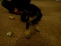 Cutie Video 03