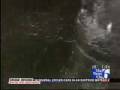 videos de Wild Wednesday