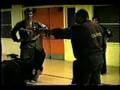 SubLevel Four Kenpo™