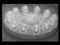 The Crystal Skulls: Astonishing Portals to Man's Past (1/5)