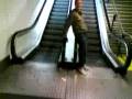 videos de Tornado en el metro