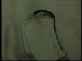 WATERCOLOUR DEMONSTRATION BRUSHSTROKES WITH SUE WATERCOLOUR DEMONSTRATION BRUSHSTROKES WITH SUE