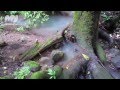 Metropolitan National Park - Panama - YouTube