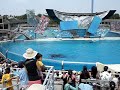SeaWorld San Diego: Believe: The Spectacular Shamu Show - p3
