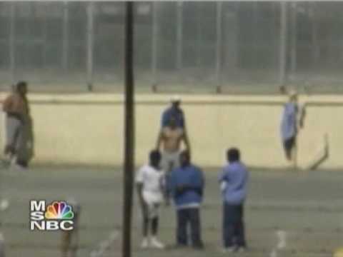how to control or eliminate prison gangs
