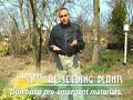 Let Plants Re-seed in the Garden