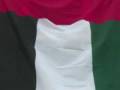 videos de UAE (National Day) 2nd Of December-By: Noura Hadchiti