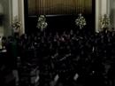 j.m. nunes garcia
requem 1816
collegium musicum e osusp
regente: abel rocha