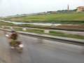 videos de Vietnam  pig