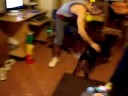 adiestramiento de perros draco