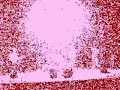 Doidivanas - A Desalambrar