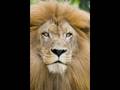 DJ APR Mix Triston Palmer Fussing & Fighting Ranking Joe Cuss Cuss Woman
