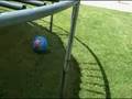 5 year old kicks far