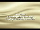 how to take 5-htp properly