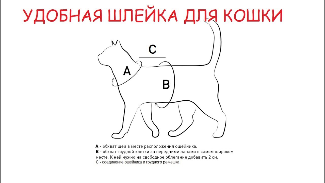 Удобная шлейка для кошки своими руками