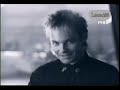 I've Been In Love Before -  (HQ Audio)
