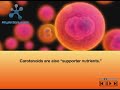 Carotenoid Complex