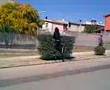 videos de ele nei cespugli!