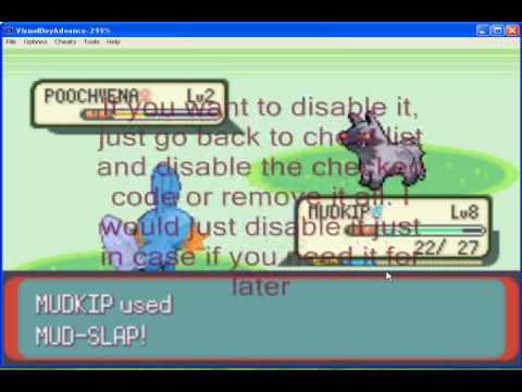 how to get pp up in pokemon emerald