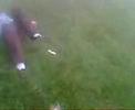 hogan pikey balls hogan pikey balls