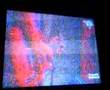 Bluewish band tv appearance