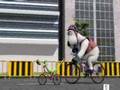 El oso Berni - 1x51 - Ciclismo