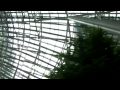 SANY0363.MP4