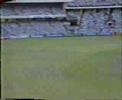 Search Video