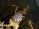 Crabs II