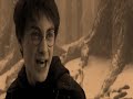 READ FIRST! THIS IS AN AU NONE OF THIS HAPPENED IN THE BOOK!!!!!!!!!!!!!!!!!!!Dumbledore was suppose to die the night of the battle on the astronmy tower but he didn't...... Ron Did.(I know it says and shows voldemort and it was really snape who did the killing but go along with it) Harry Is dening that any of it happened so he won't blame himself Hermione Can't get over the fact that she never got a chance to say how she really felt about him.... everyone's world has been turned upside down...SEPIA: Reaction of the death GREYSCALE: memoriesCOLOR: Present before during and after the funeralI worked really hard on this so enjoy(: