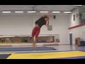 kellner winter flips