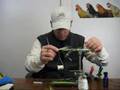 Tying a Rhody Flatwing