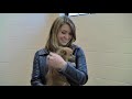 BC SPCA Shelter Walk-Through