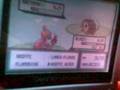 videos de entraînement Reptincel shiny