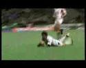 benditos los pumas